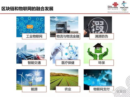 物聯(lián)網(wǎng)區(qū)塊鏈應用白皮書解讀 賦能技術(shù)研發(fā)新范式